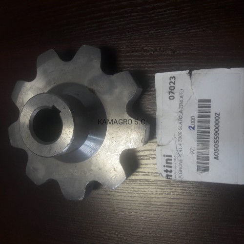 20190905_122452.jpg