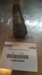 ZĘBATKA  13762 FANTINI 